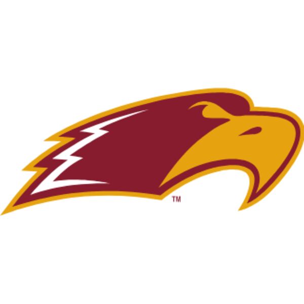 hawkshop hawk head full color Thumbnail